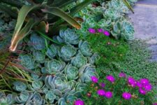 a lively garden with grass, pale green succulents, a large agave and bright fuchsia blooms is a fantastic idea
