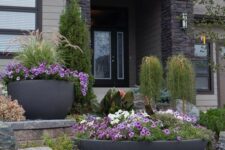 a modern and bold front yard with gravel and rocks, with bold blooms in planters and some greenery is wow