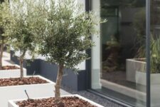 an elegant front yard with minimalist white planters with trees is a stylish idea and tiles covering it for a modern feel