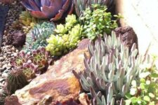 an eye-catching succulent garden with pebbles and a large rock, pale green, bold green and purple succulents is amazing