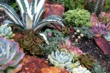 go for large agaves as show-stoppers, add smaller succulents in various colors and textures