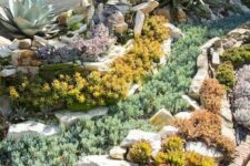 rows of colored succulents and agaves paired with rows of rocks and pebbles are a cool idea for any desert garden
