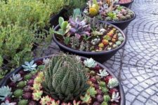 such container gardening is also a cool idea, mix up several different succulents in pots