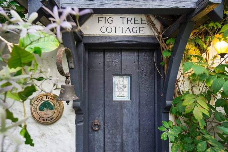 The house is located in Australia, it's called Fig Tree Cottage and is built on a mountain