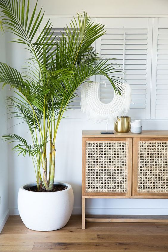 a cane console table is a cool idea for a coastal home, and cane is a hot home decor trend