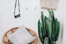 25 potted cacti are ideal for boho or desert entryways, just don’t forget that they need some light