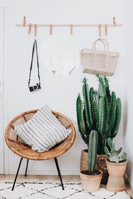 potted cacti are ideal for boho or desert entryways, just don't forget that they need some light