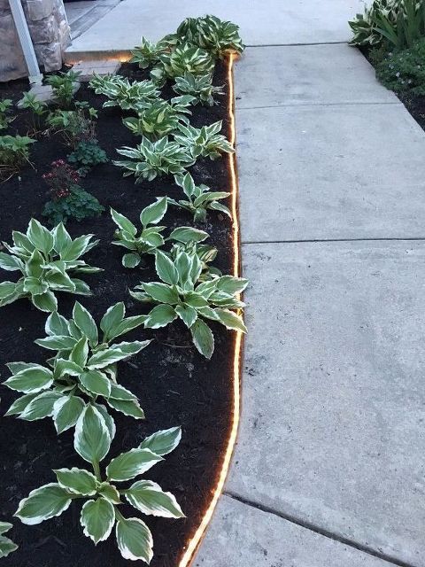 light edging is a cool idea for a modern garden - skip everything usual and go for lights