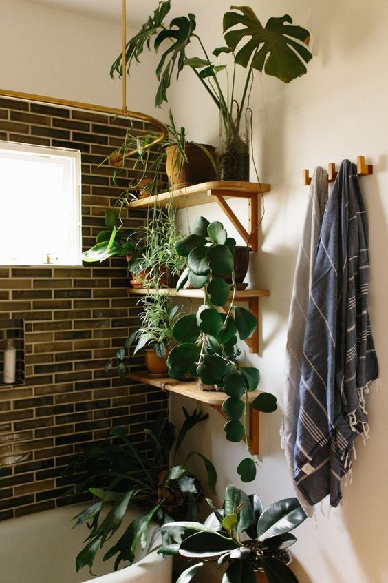 open shelving with potted greenery and some plants on the bathtub to feel like outdoors