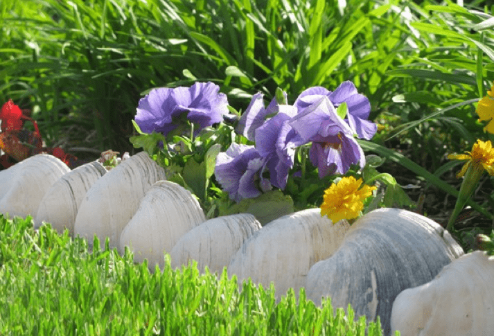 large clam shells will border a seaside garden embracing the location at the same time