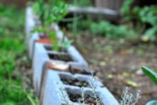 34 cinder block garden edging used as planters will enliven your garden even more, you may paint them or not