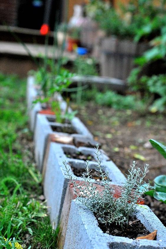 cinder block garden edging used as planters will enliven your garden even more, you may paint them or not