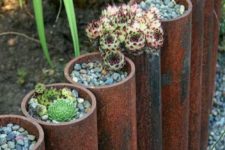 a succulent garden in metal pipes