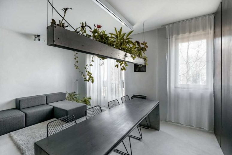 The living space continues the space with a laconic geometric sofa and potted plants