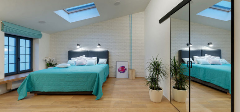 The master bedroom features a skylight, potted plants, a built-in storage unit with a mirror