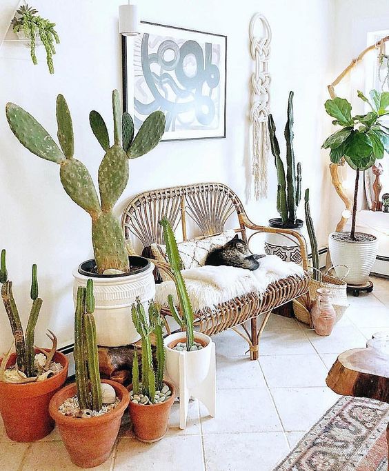 a bright boho summer entryway done with lots of cacti, a rattan bench with pillows and macrame