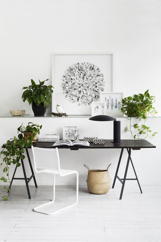 a whisy white home office with a black trestle desk and potted greeneyr to refresh it and make it look cooler