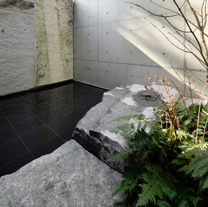 The inner patio is done with sleek black tiles, ferns, a tree and natural rocks that contrast the tiles very much