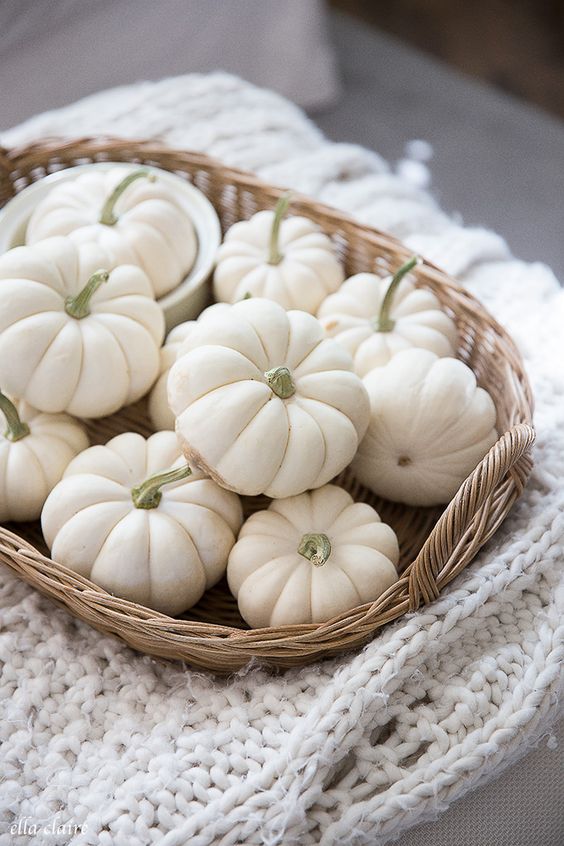 a basket with white pumpkins is a chic rustic fall decor idea for any space