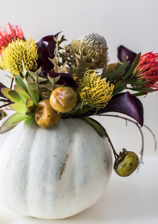 a chic Halloween centerpiece of a pale pumpkin, deep purple and red and yellow blooms, some fruits and a succulent