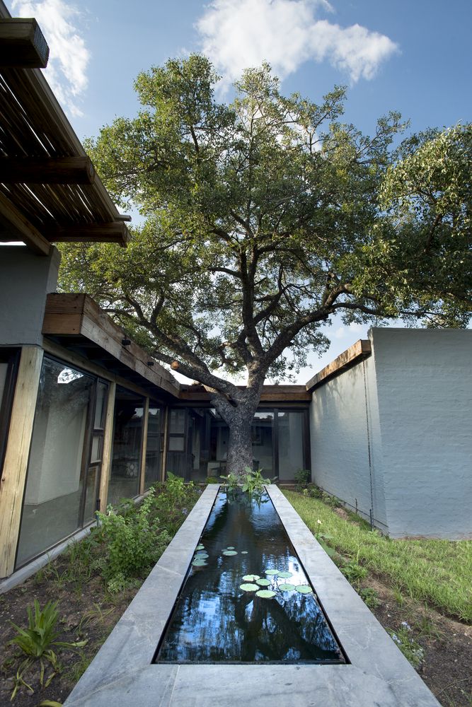 The courtyard features living trees and a pond clad with concrete, there lots of living trees on the site, and all of them are preserved