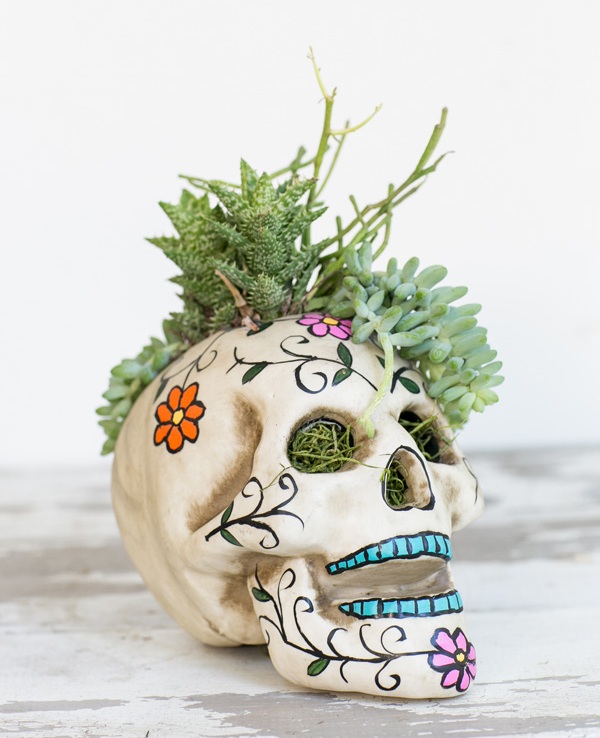 a sugar skull filled with grass and succulents is a cool and bright idea for a Day of The Dead party