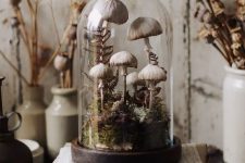 a beautiful and realistic Halloween cloche with mushrooms and moss is a lovely decoration not only for Halloween