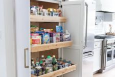 07 a neutral built-in pantry with pull-out drawers only is a cool idea with maximal functionality