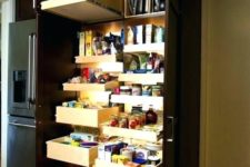 11 a dark built-in pantry with pull out shelves and drawers and additional lights help you find everything