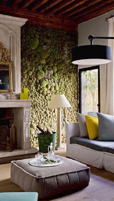 a living moss wall is a real touch of nature inside, and it's a huge trend right now and it looks very catchy