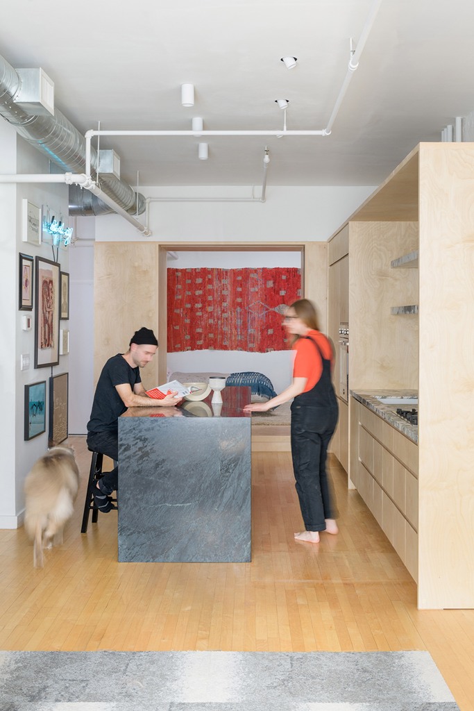 Plywood cabinetry takes the most part of this cool Brooklyn loft and gives a lto fo storage space while separating the zones