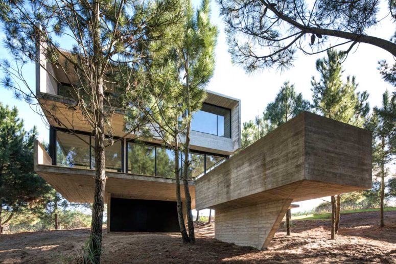Minimalist House In The Trees That Defies Gravity