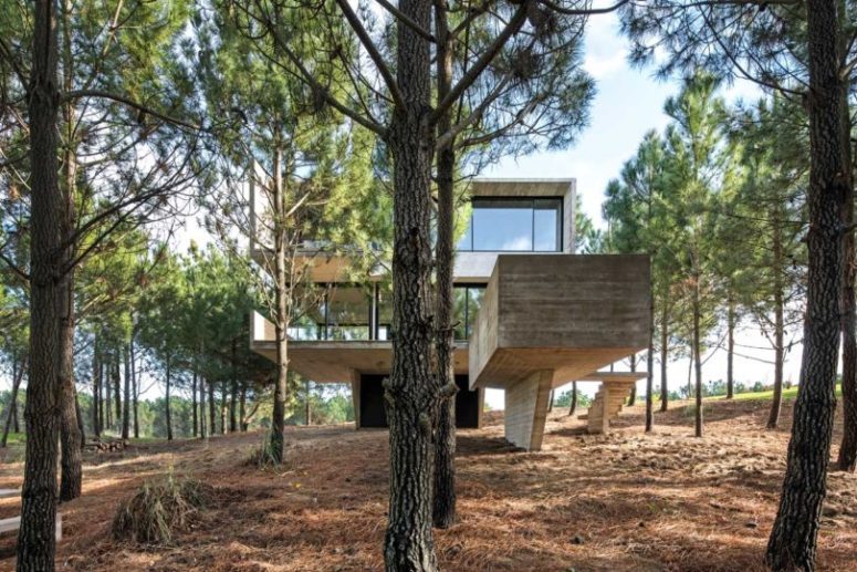 The house was risen from the ground to reduce the impact on the environment and get better views of the surroundings