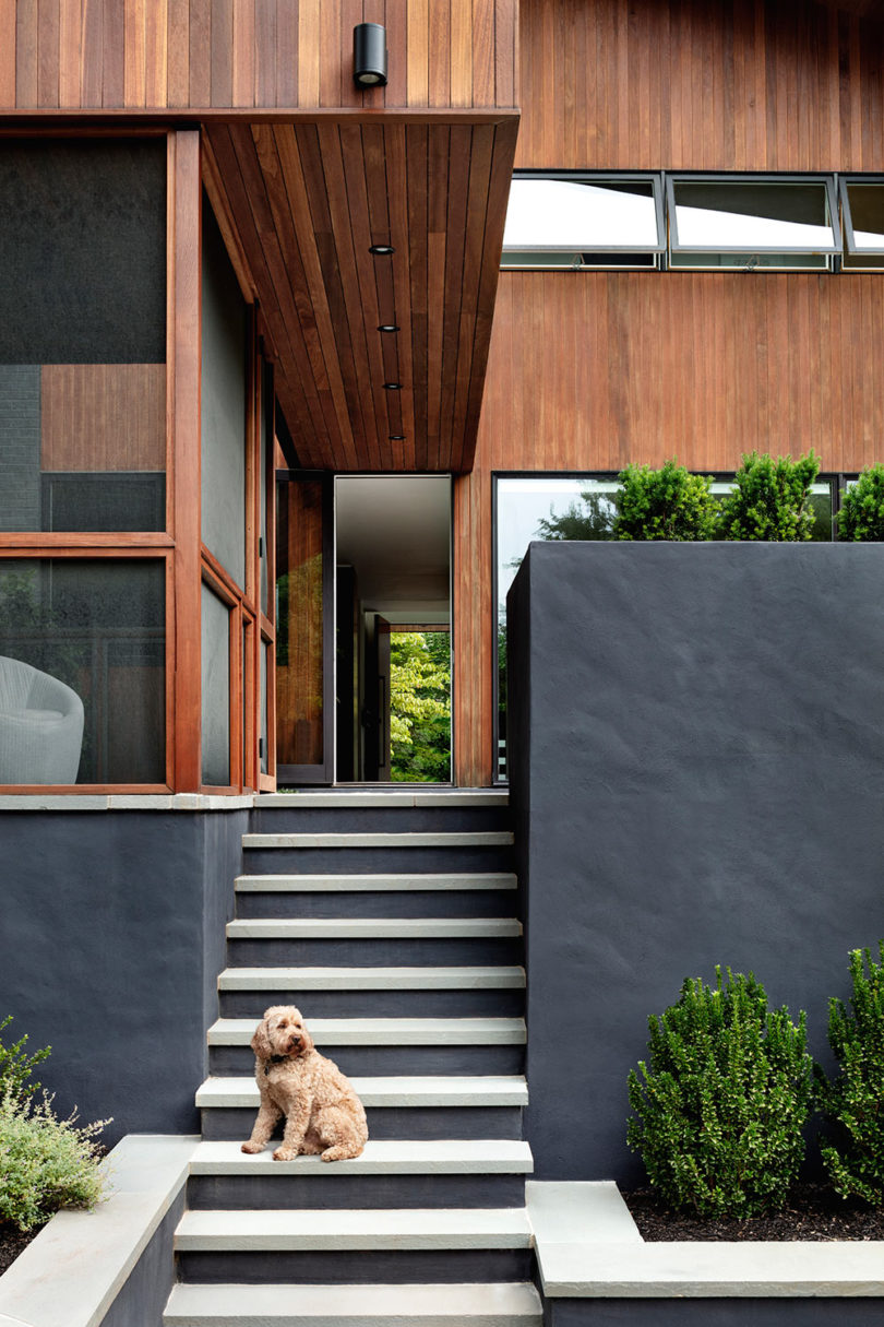 Strategically planted greenery refreshes the facades and the looks of the house