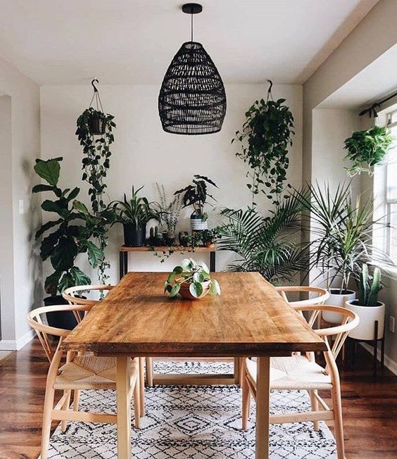 a boho dining room refreshed with lots of greenery in hanging and usual pots is a very cool idea