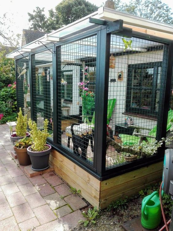 a stylish and simple cat enclosure with potted greenery and flowers and furniture for both humans and cats