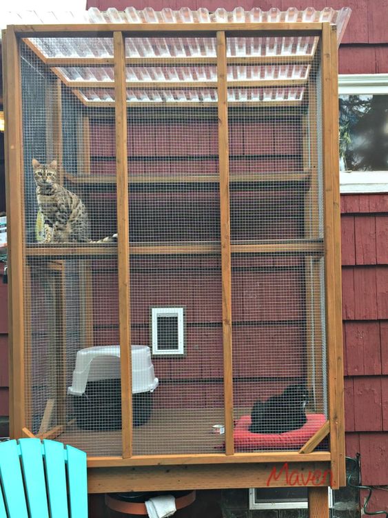 a cat patio for two, with shelves, beds and a toilet to spend time outdoors with comfort