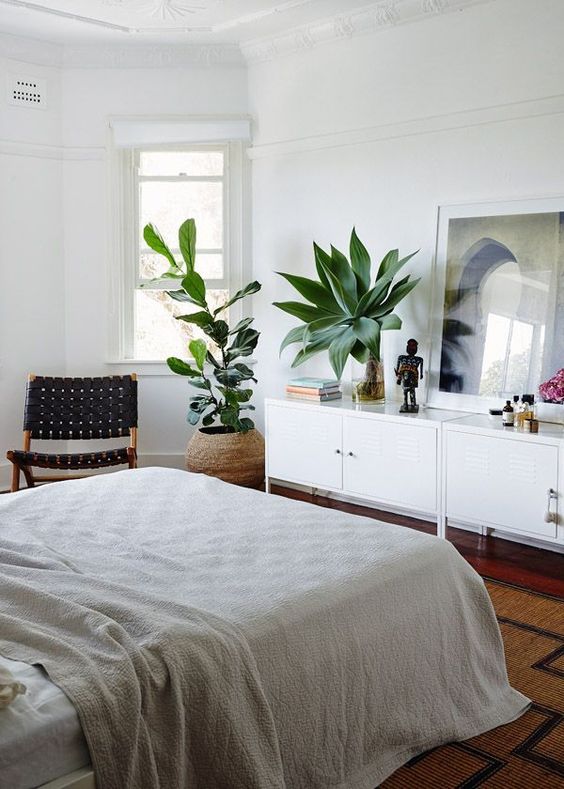 a boho bedroom with two statement plants that catch an eye and refresh the space