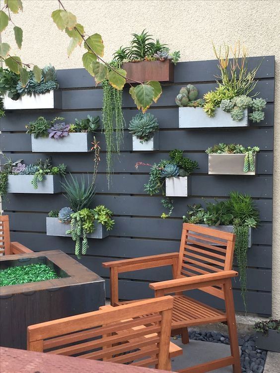 a black wooden plank wall with concrete and metal planters attached and lots of succulents and cacti
