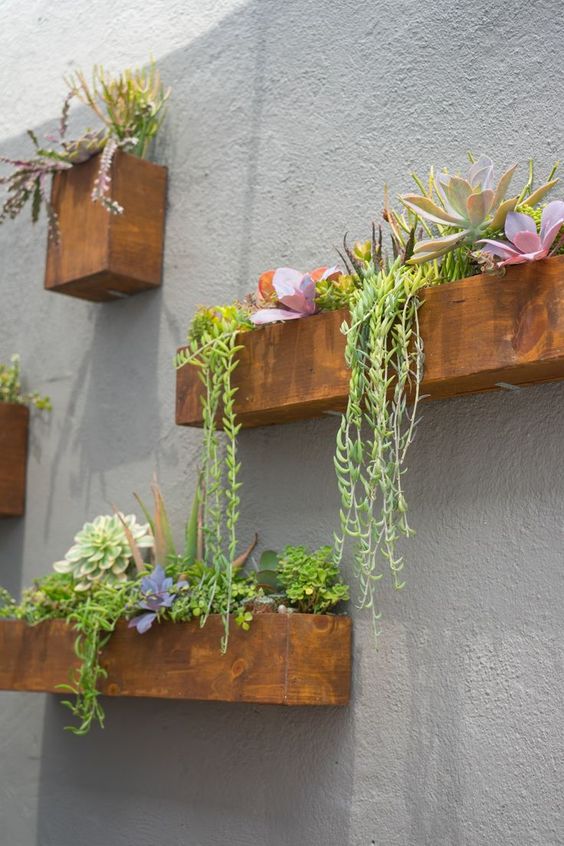 a concrete wall spruced up with rich stained planters with bright blooms, succulents and greenery
