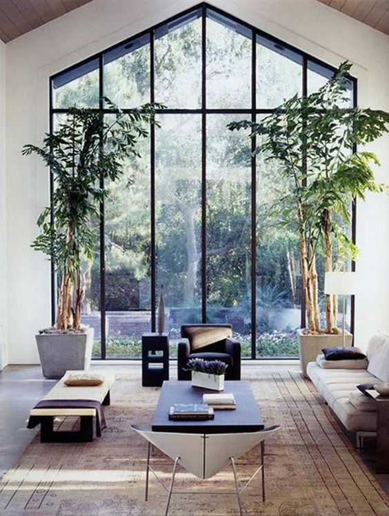 a biophilic living room with a double height glazed wall, potted trees and natural wood in its decor