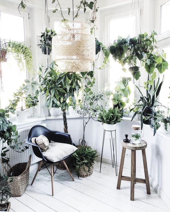 a minimalist biophilic space done in white, with many windows for natural light and potted plants all over