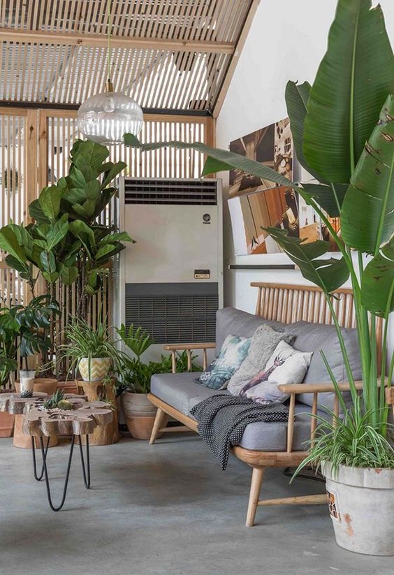 a natural tropical space with wooden furniture, potted plants and trees feels very biophilic and cool