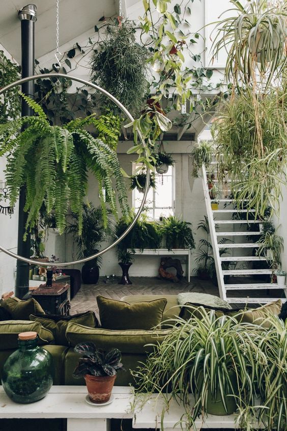 A super biophilic space with lots of greenery everywhere and natural fabrics for upholstery   this room looks like jungle