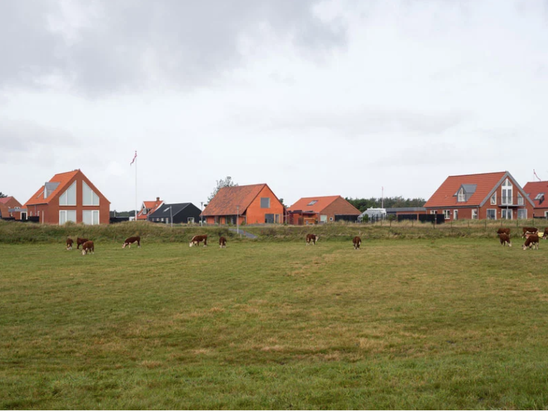 The house reinterprets traditional Danish longhouses and looks very natural in the neighborhood