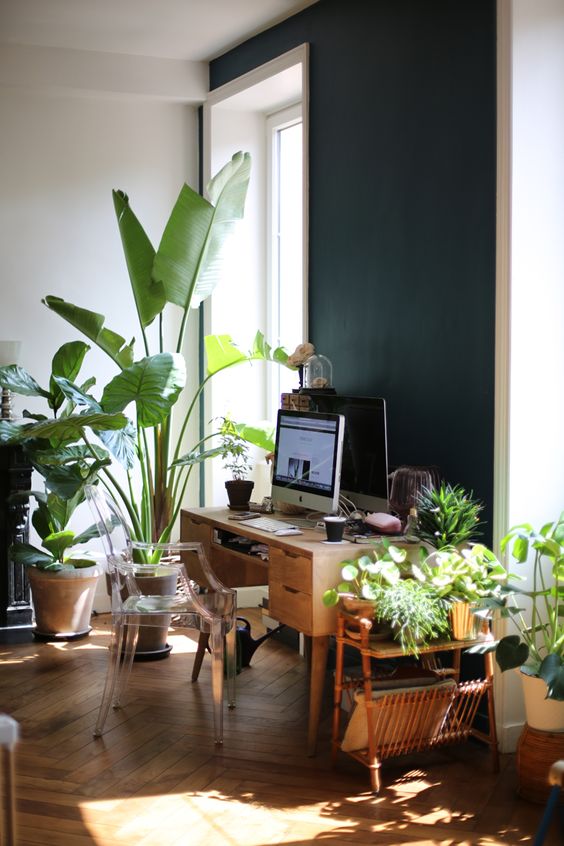 a mid-century modern tropical home office with a vintage wooden desk, a ghost chair, lots of tropical plants everywhere