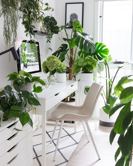 a neutral and airy home office with IKEA furniture, some simple artworks and potted tropical plants everywhere