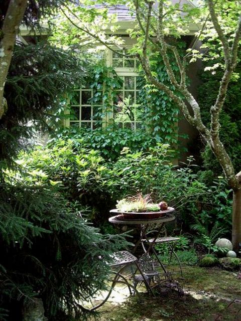 a small and lush garden with lots of greenery everywhere and shrubs of various kinds, with some metal vintage furniture