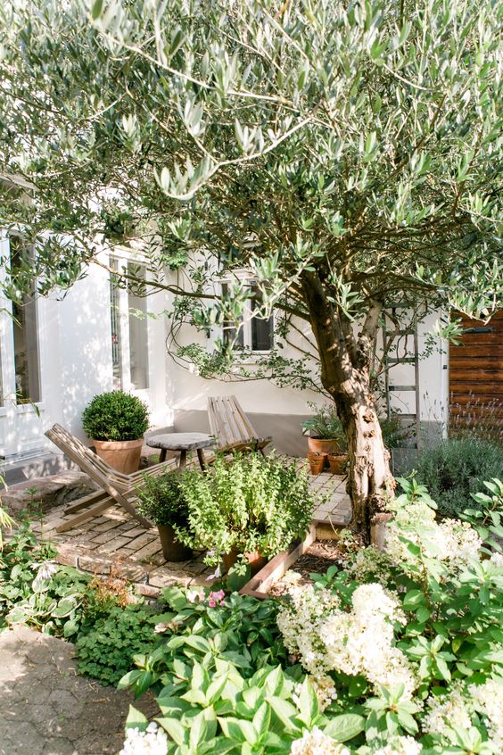 a small and cozy backyard with a brick clad space, some wooden chairs and lots of greenery and a tree around