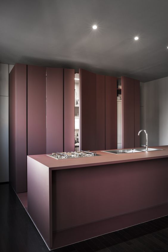 a minimalist purple kitchen all clad with panels to make it super sleek and almost invisible